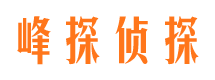 姚安市婚外情调查